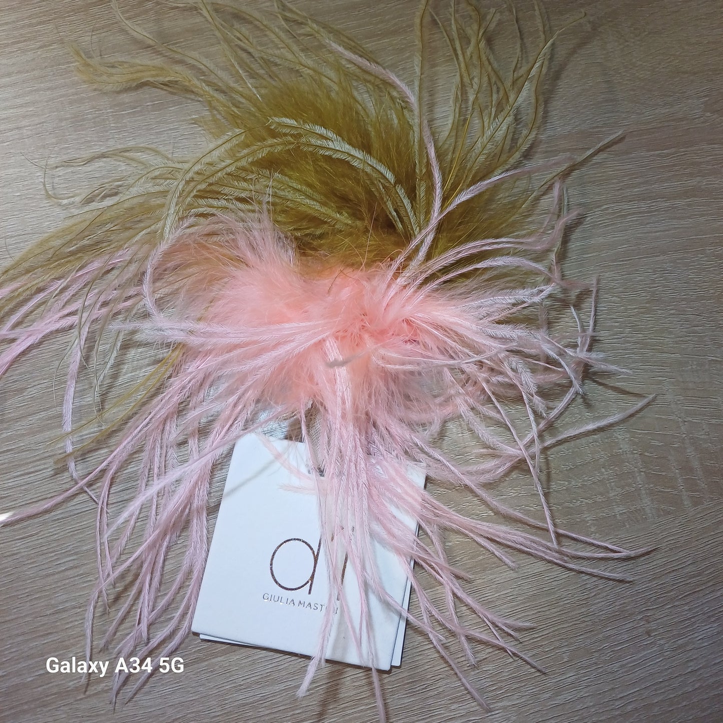 Spille - Coccarde